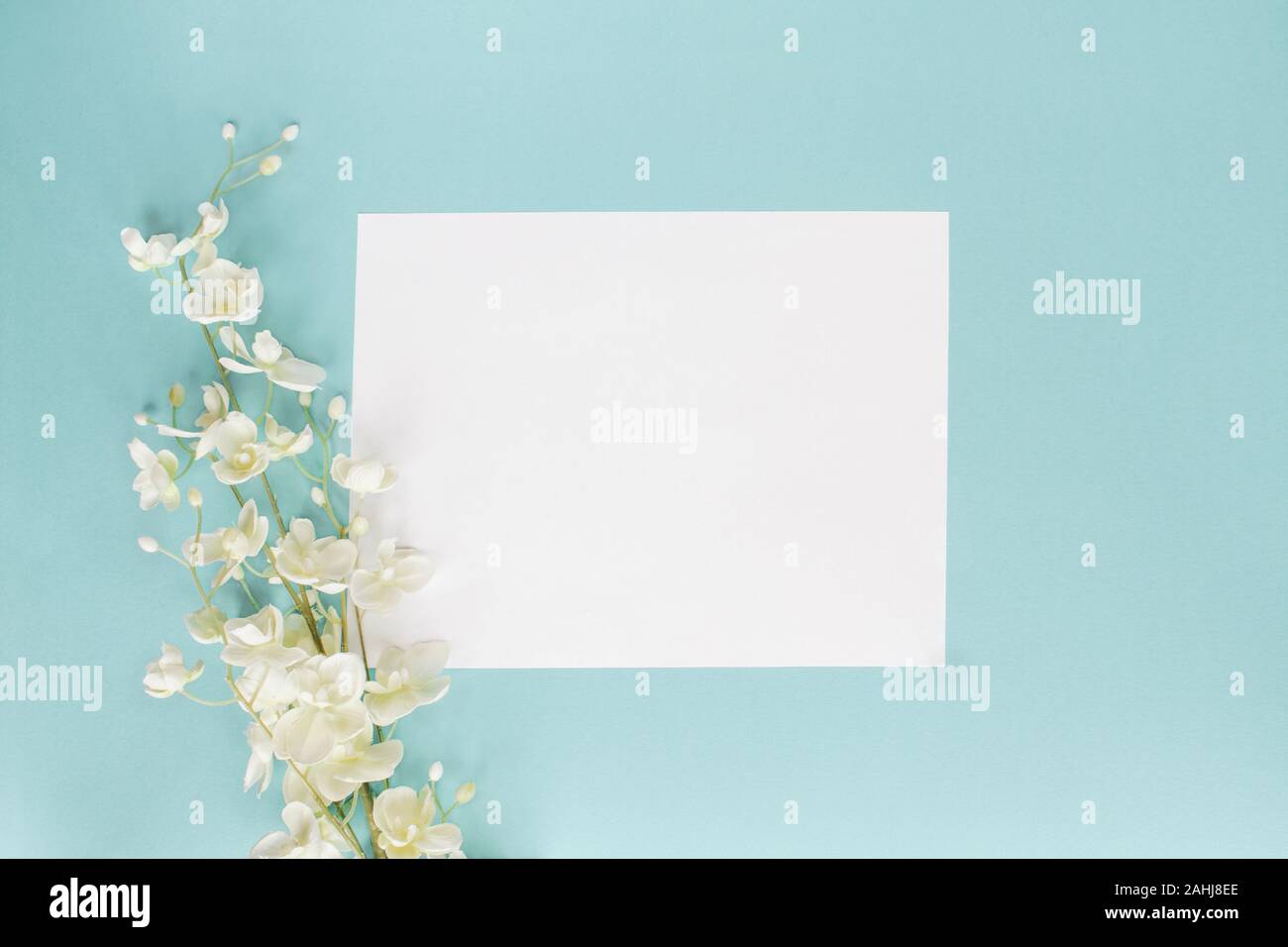 Mothers day or wedding floral card with paper note and white flowers over a blue background shot from above. Flat lay. Stock Photo