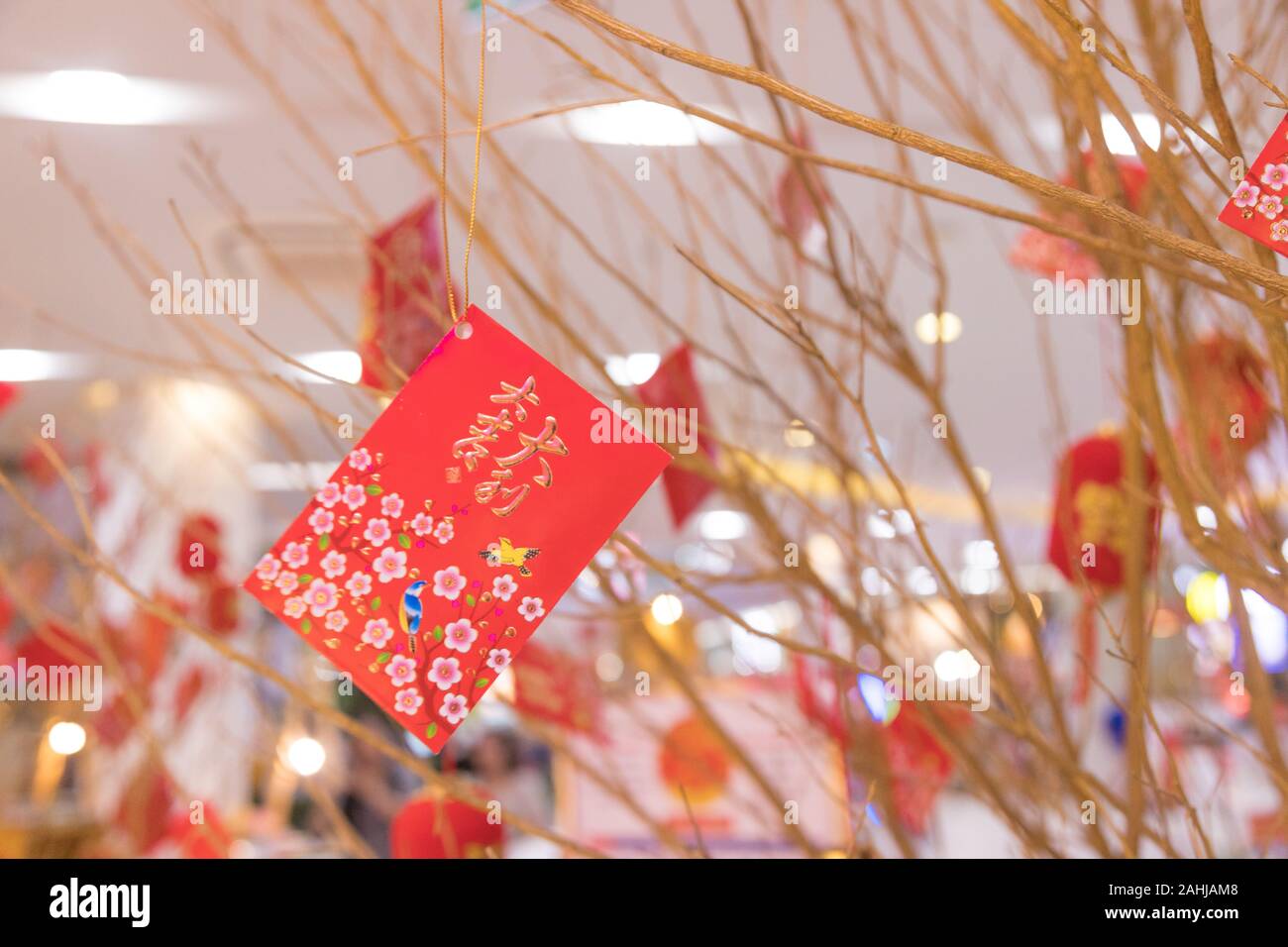 asian pacific market colorado springs chinese new year