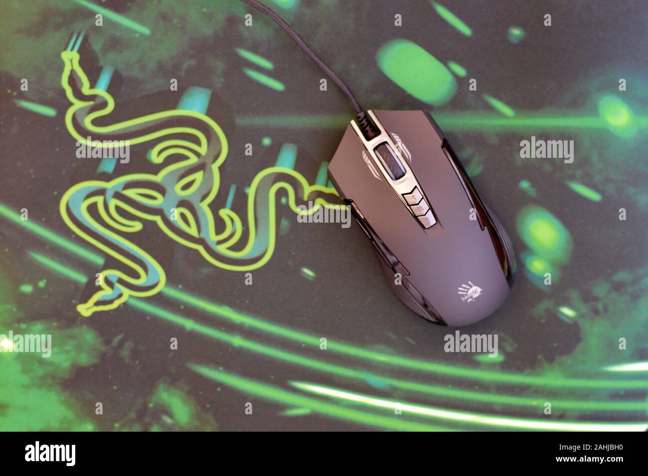 Bloody mouse p93 hi-res stock photography and images - Alamy