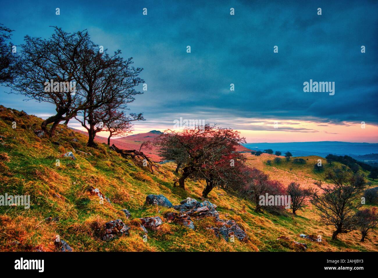 Thorn trees on the Black Mountain with clouds behind. Stock Photo