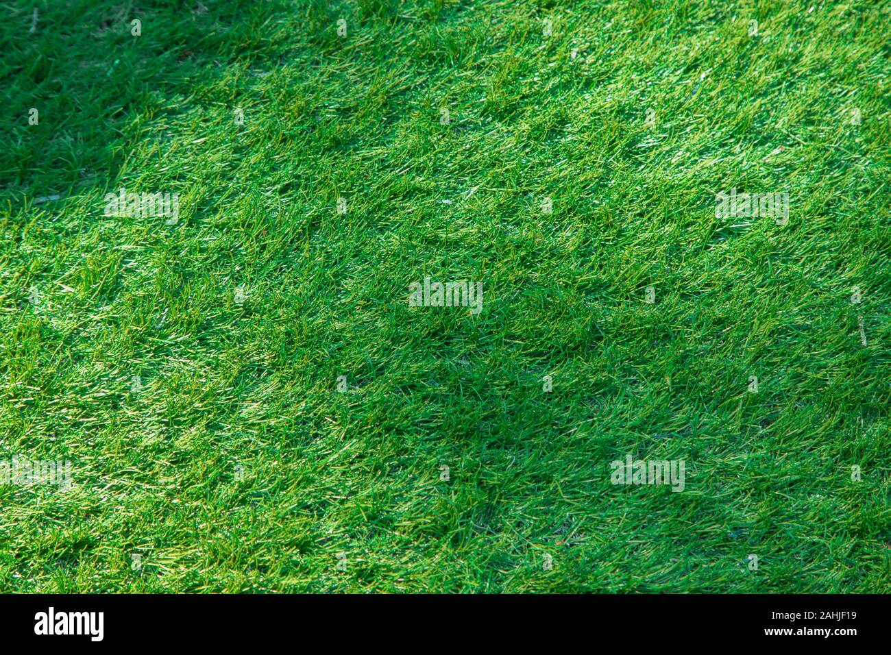 Natural Grass Texture Stock Photos Natural Grass Texture Stock