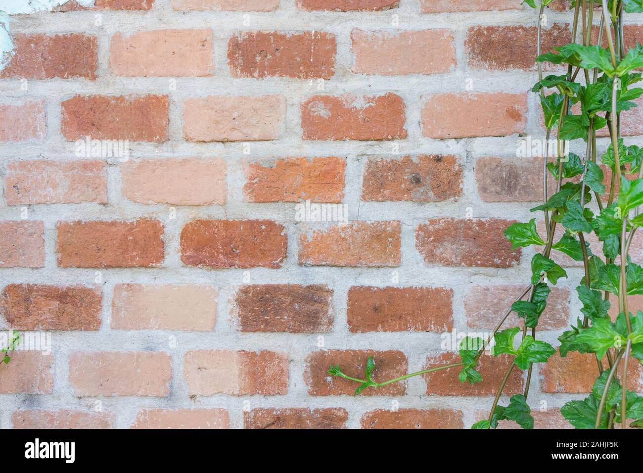 Wall without plaster hi-res stock photography and images - Alamy