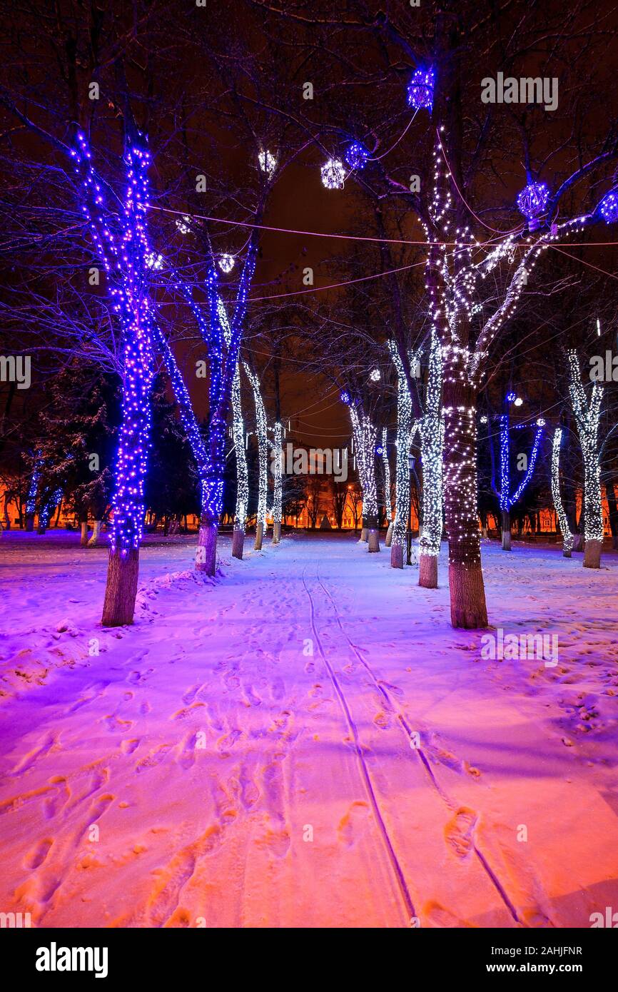 Walk of the city at night in winter. Alley with lights, trees, garlands ...