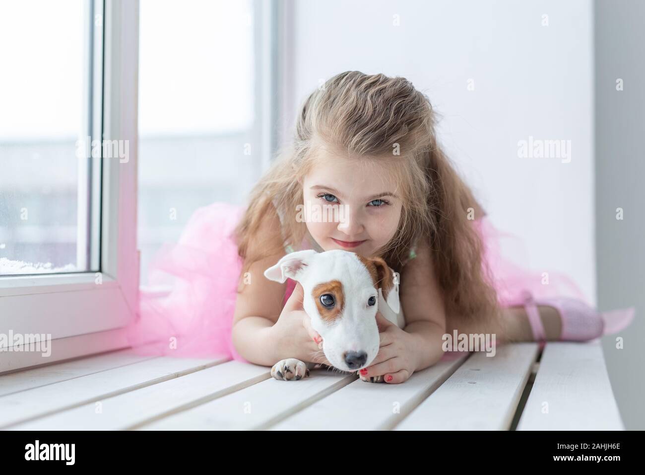 jack russell and children