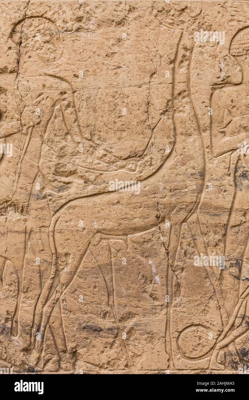 Egypt, temple of Beit el Wali, on Kalabsha Island, lake Nasser. This is an early construction of Ramses II. African people lead a giraffe. Stock Photo