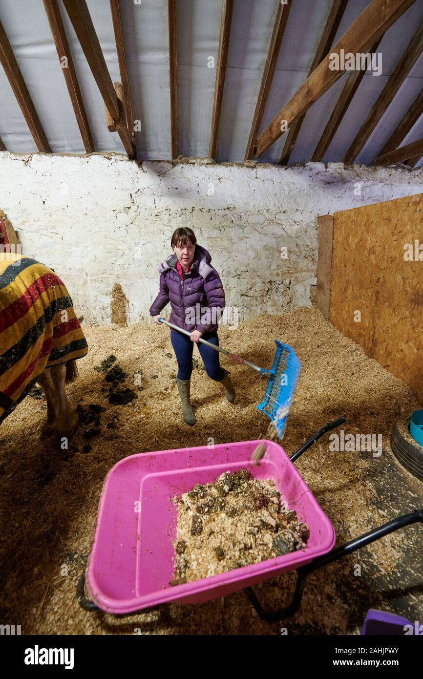A young woman cleaning or mucking out a horse stable Stock Photo Alamy