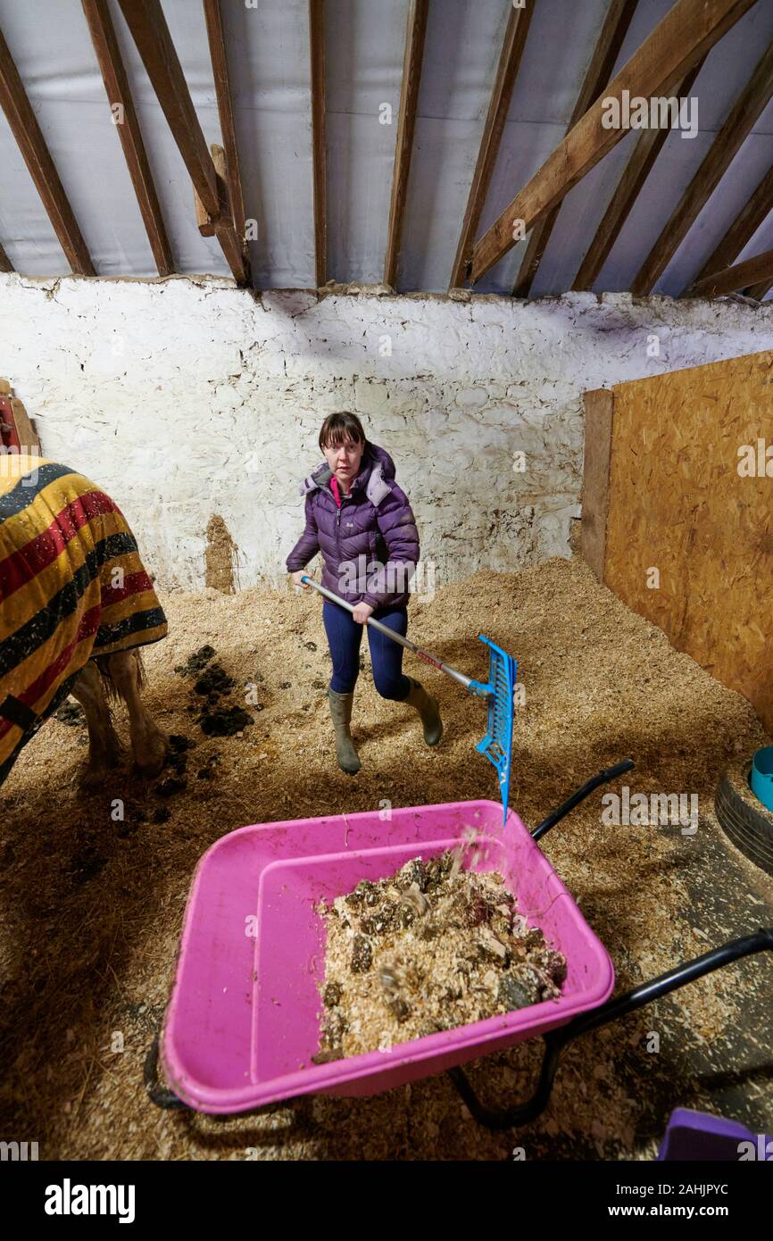 Mucking out the stables hires stock photography and images Alamy