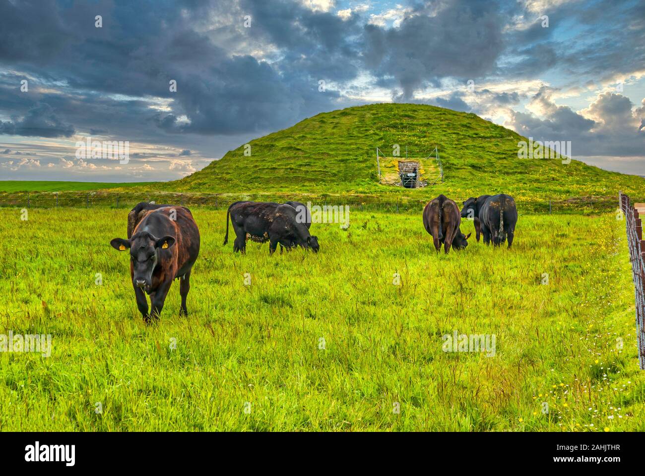 Maeshowe near Stennes Village on the main island of  Orkney Scotland is a fine example of a chambered tomb and more than 5000 years old. Stock Photo