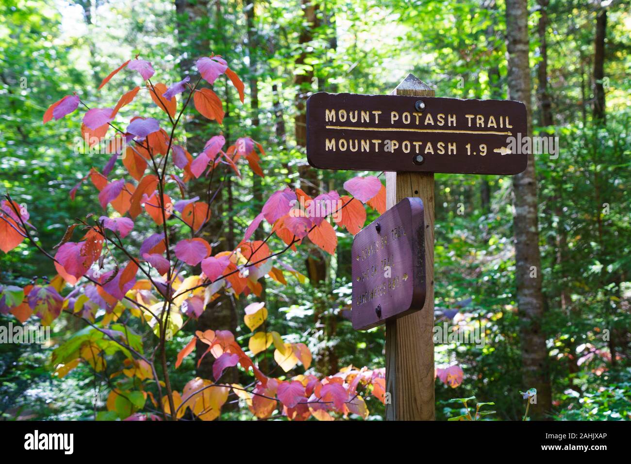 Wooden directional sign for Mount Potash hiking trail, New Hampshire, USA. Stock Photo