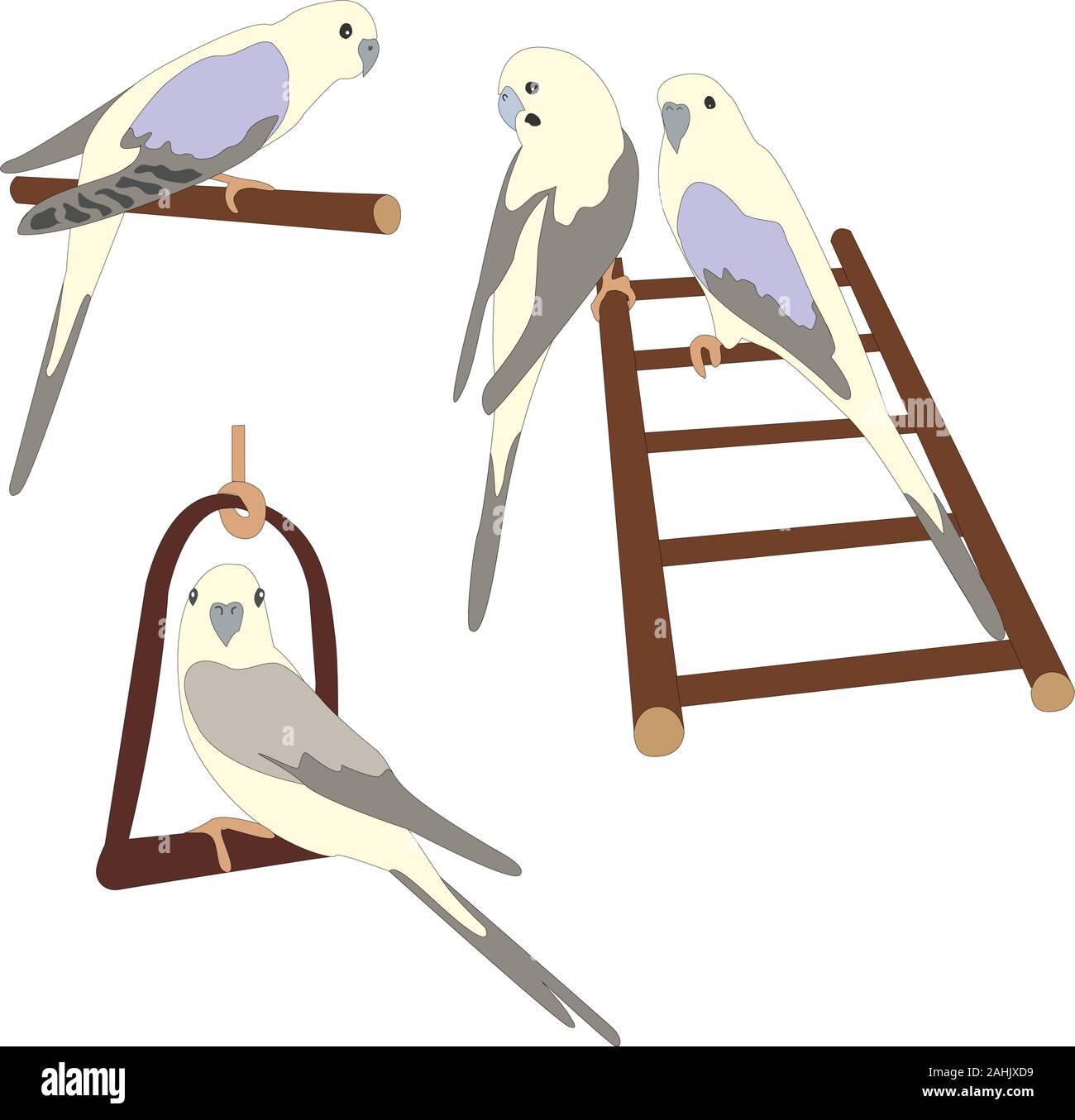 Set of three cute parrot birds sitting on branch and ladder. Bird Set