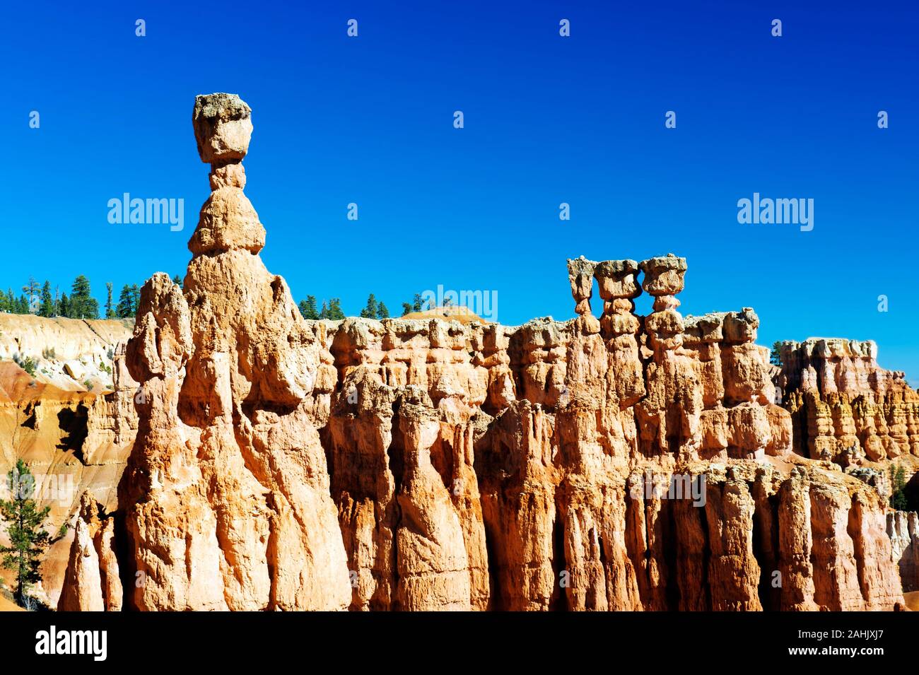 Thors Hammer and hoodoos against a blue sky, Bryce Canyon National Park, Utah, USA. Stock Photo