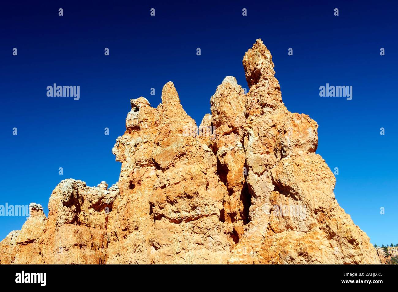 Eroded red rock formations, Bryce Canyon National Park, Utah, USA. Stock Photo