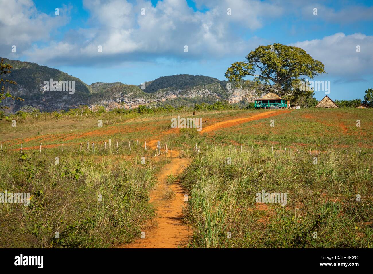 Vinales Valley. Typical view of Valle de Vinales with farm and mogotes. Pinar del Rio Province, Cuba. Stock Photo