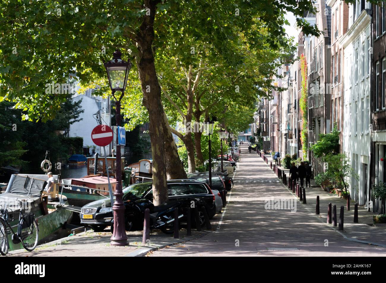 Tree lined canal street in Amsterdam Stock Photo - Alamy