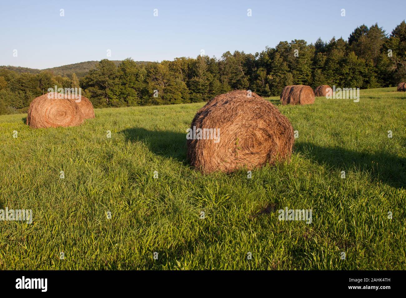 Bullitt Farm in Ashfield, Massachusetts Stock Photo Alamy