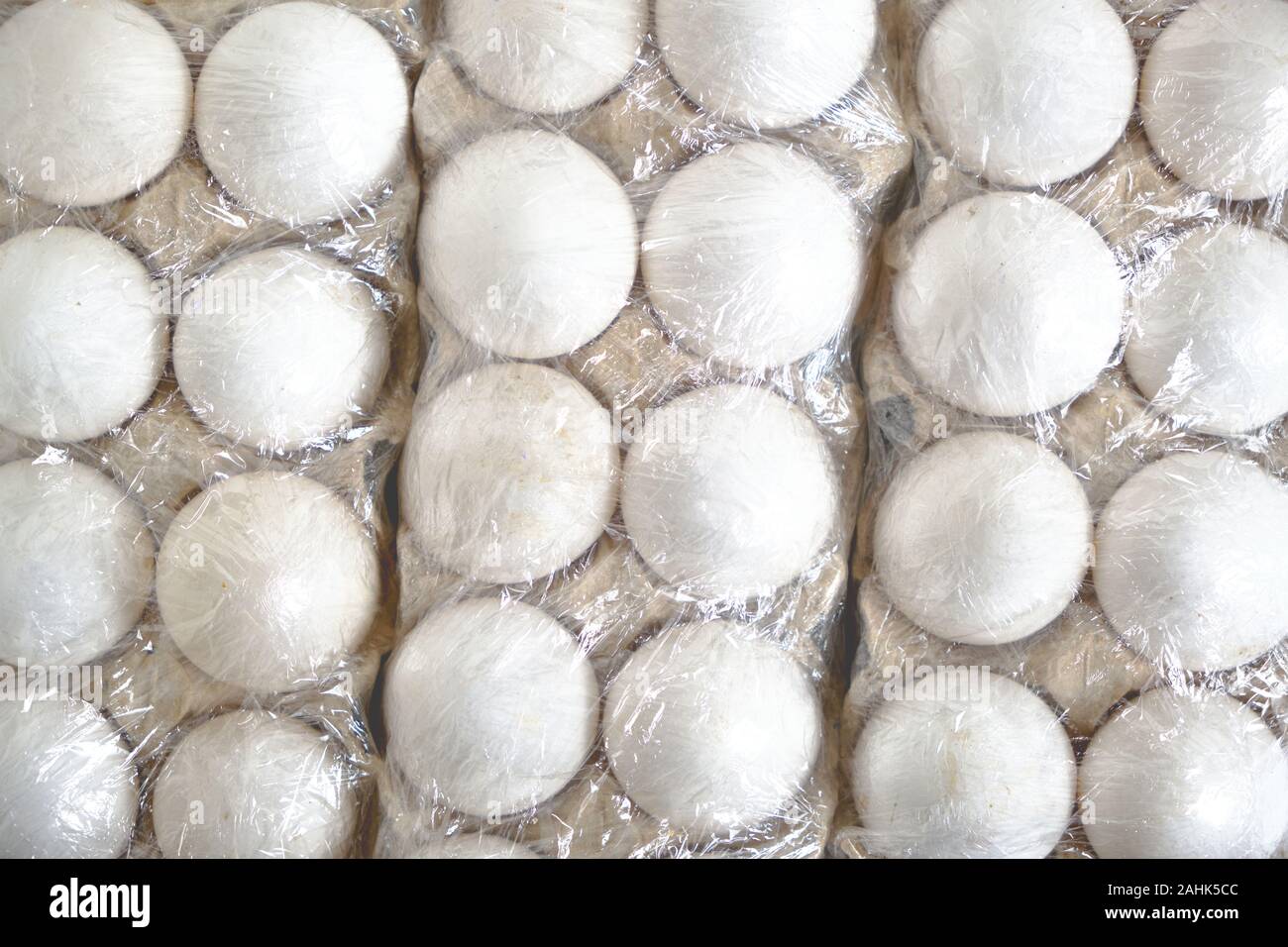 White chicken eggs in a paper tray Stock Photo