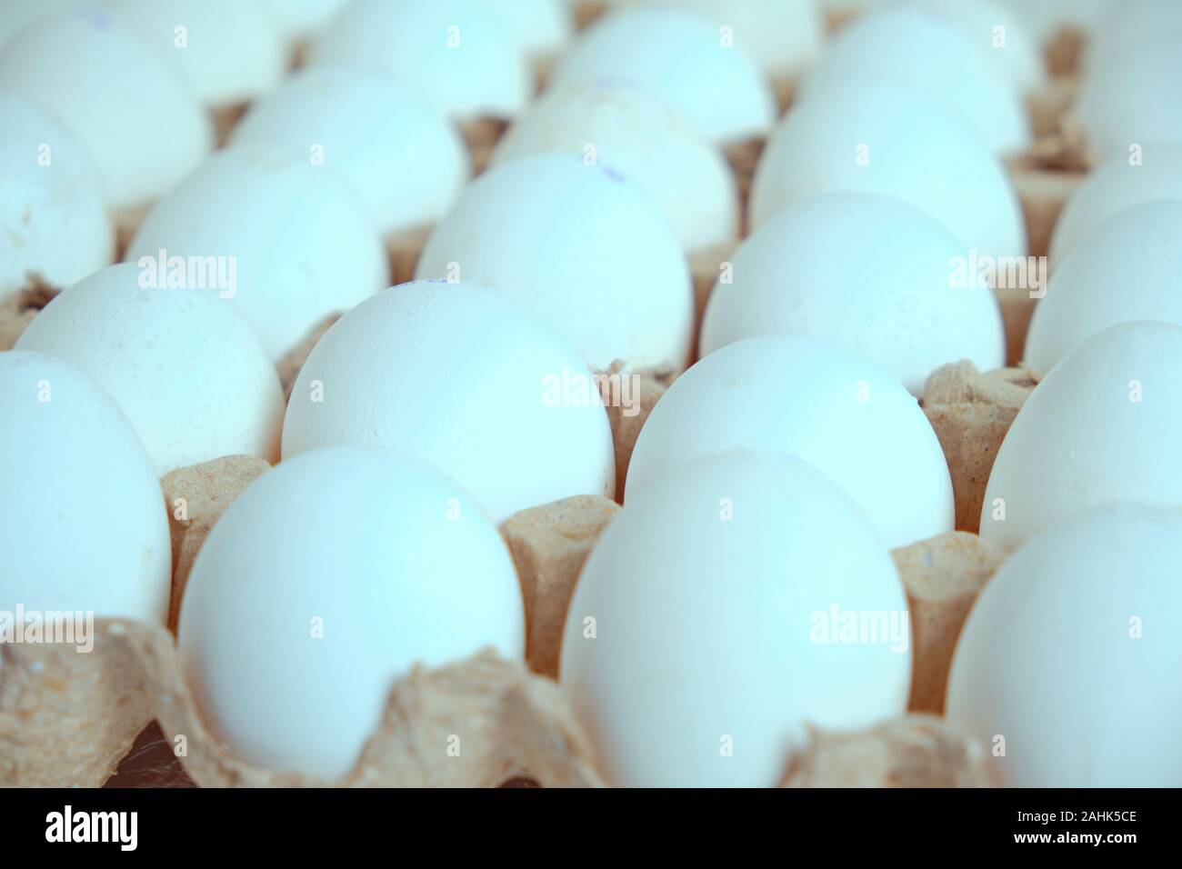 White chicken eggs in a paper tray Stock Photo