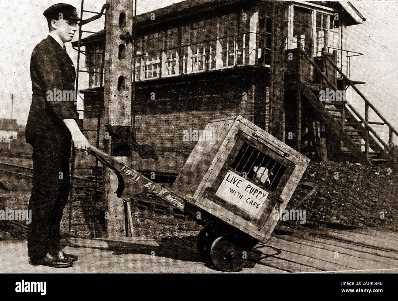 A vintage photo showing a British rail porter (LNER) wheeling a live puppy across a railway crossing near a signal box, possibly at Wigan, UK. Stock Photo