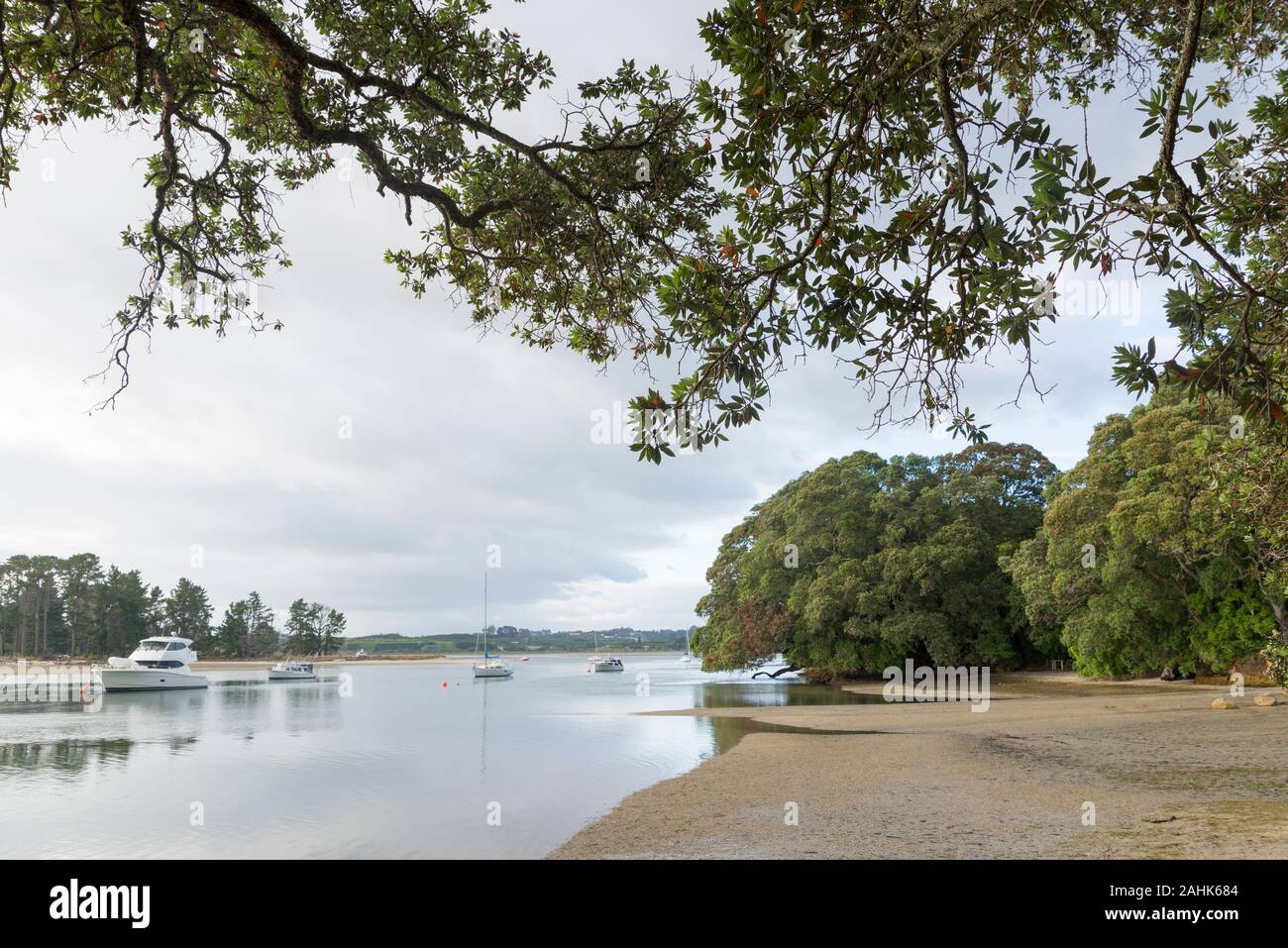 Tanners Point is a very sheltered beach in the Tauranga Harbour, New