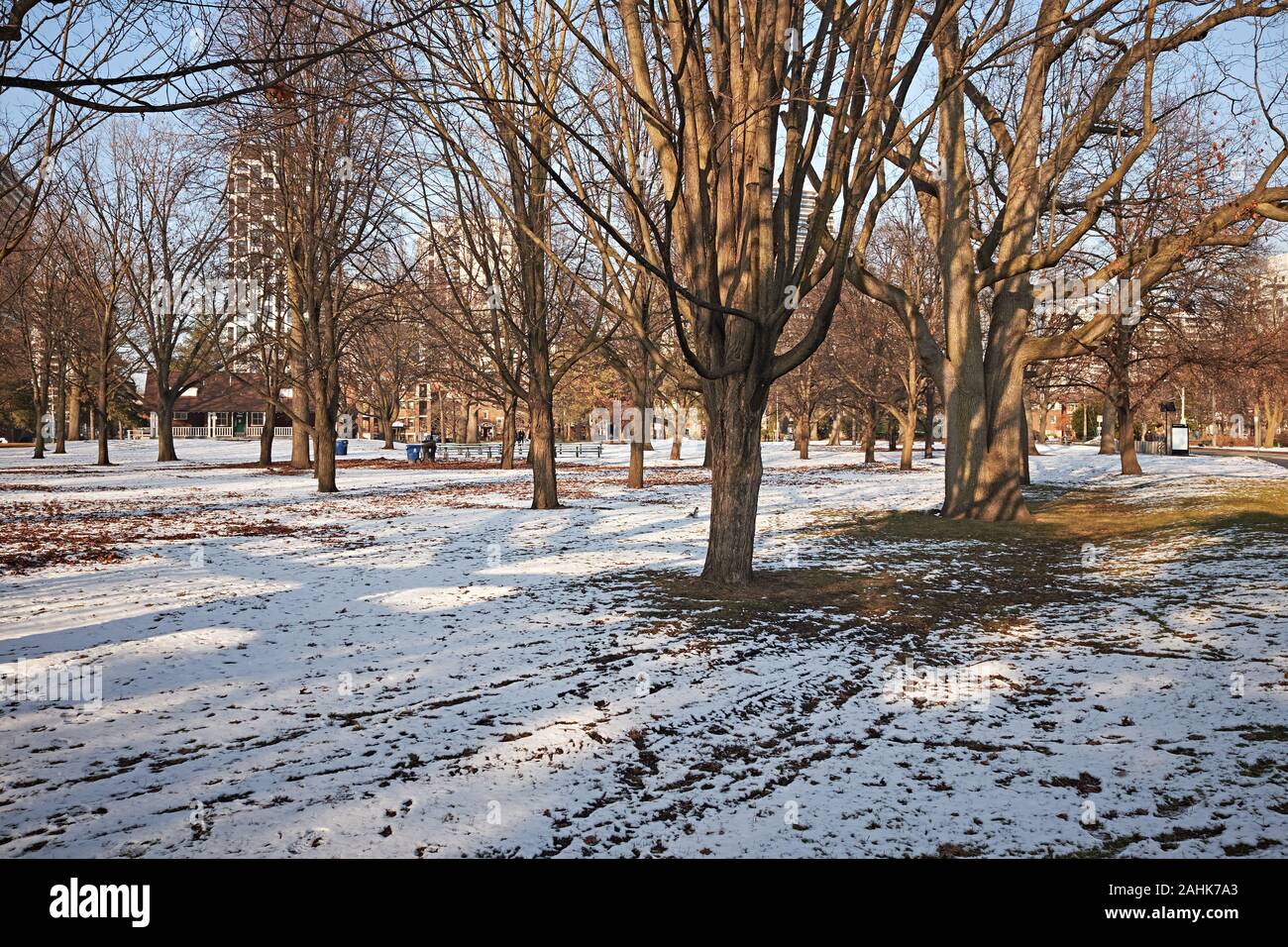 High park toronto oak hi-res stock photography and images - Alamy