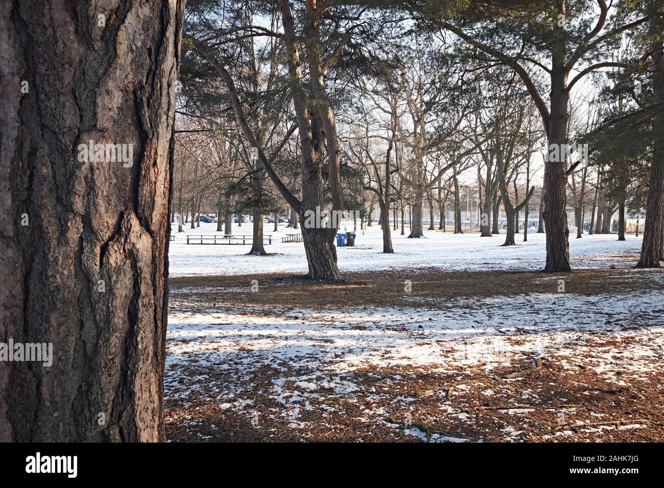 High park toronto oak hi-res stock photography and images - Alamy