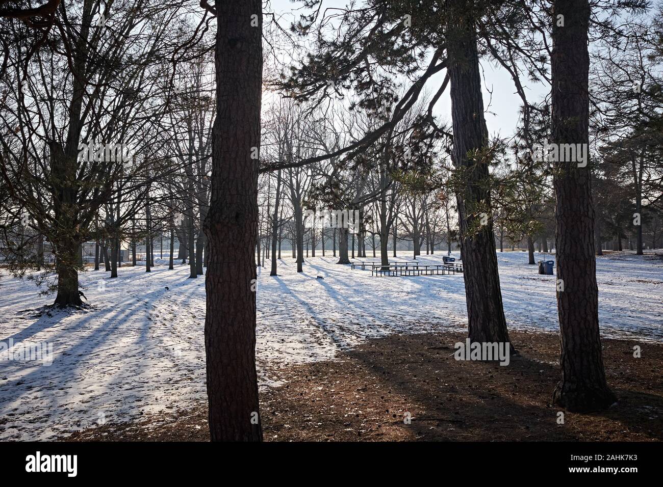 High park toronto oak hi-res stock photography and images - Alamy