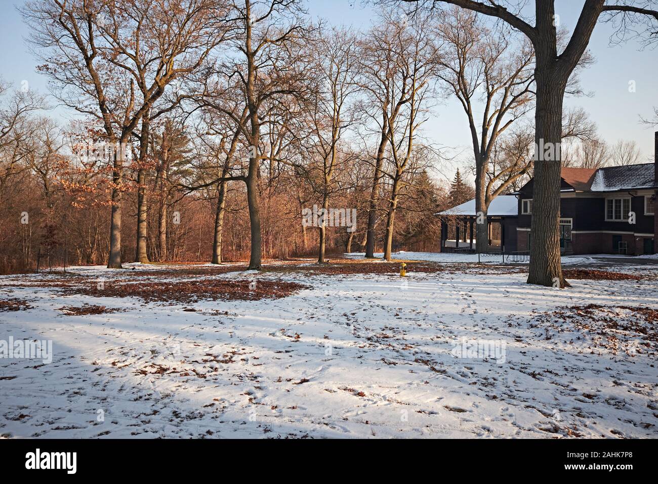 High park toronto oak hi-res stock photography and images - Alamy