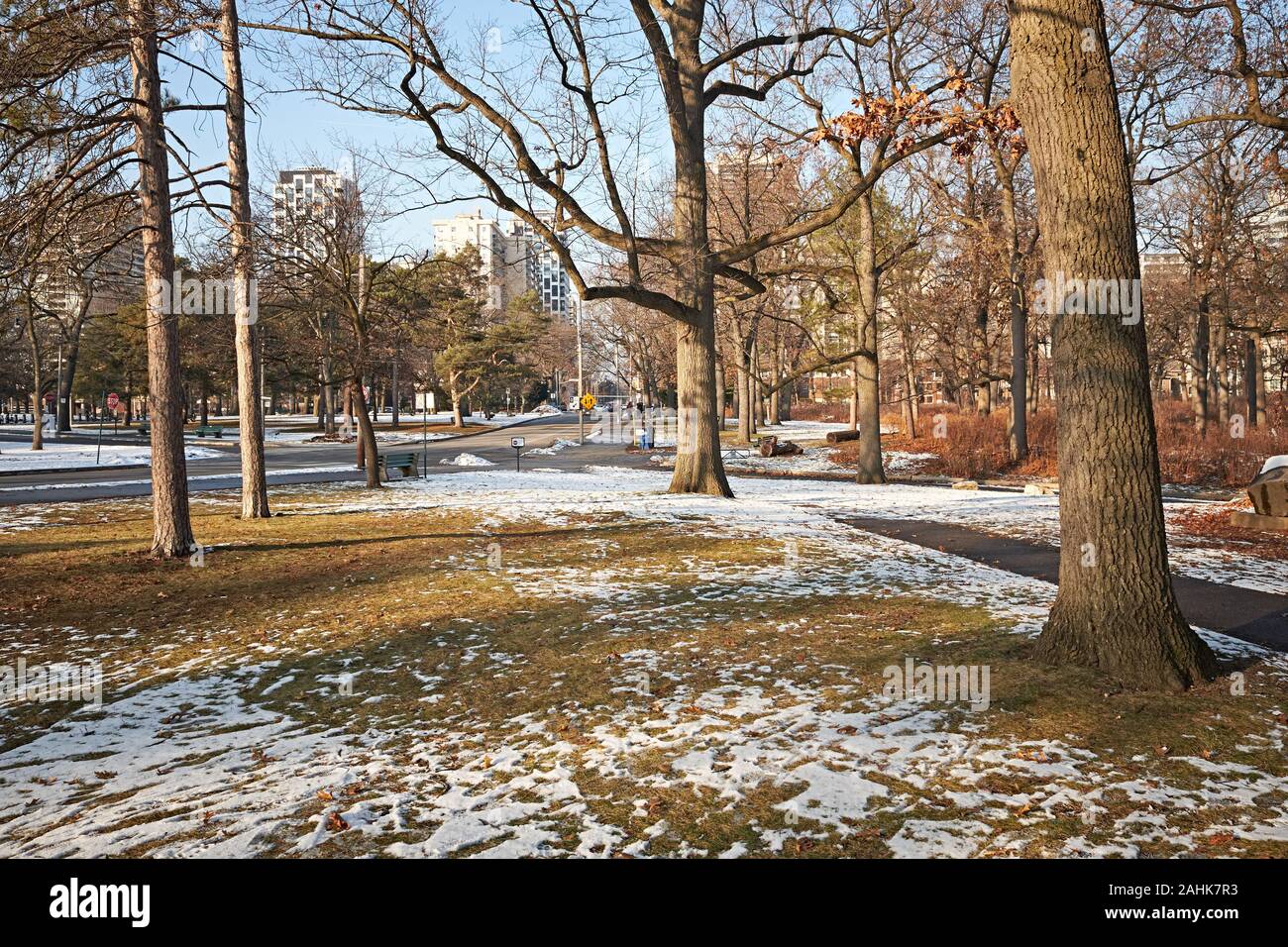 High park toronto oak hi-res stock photography and images - Alamy