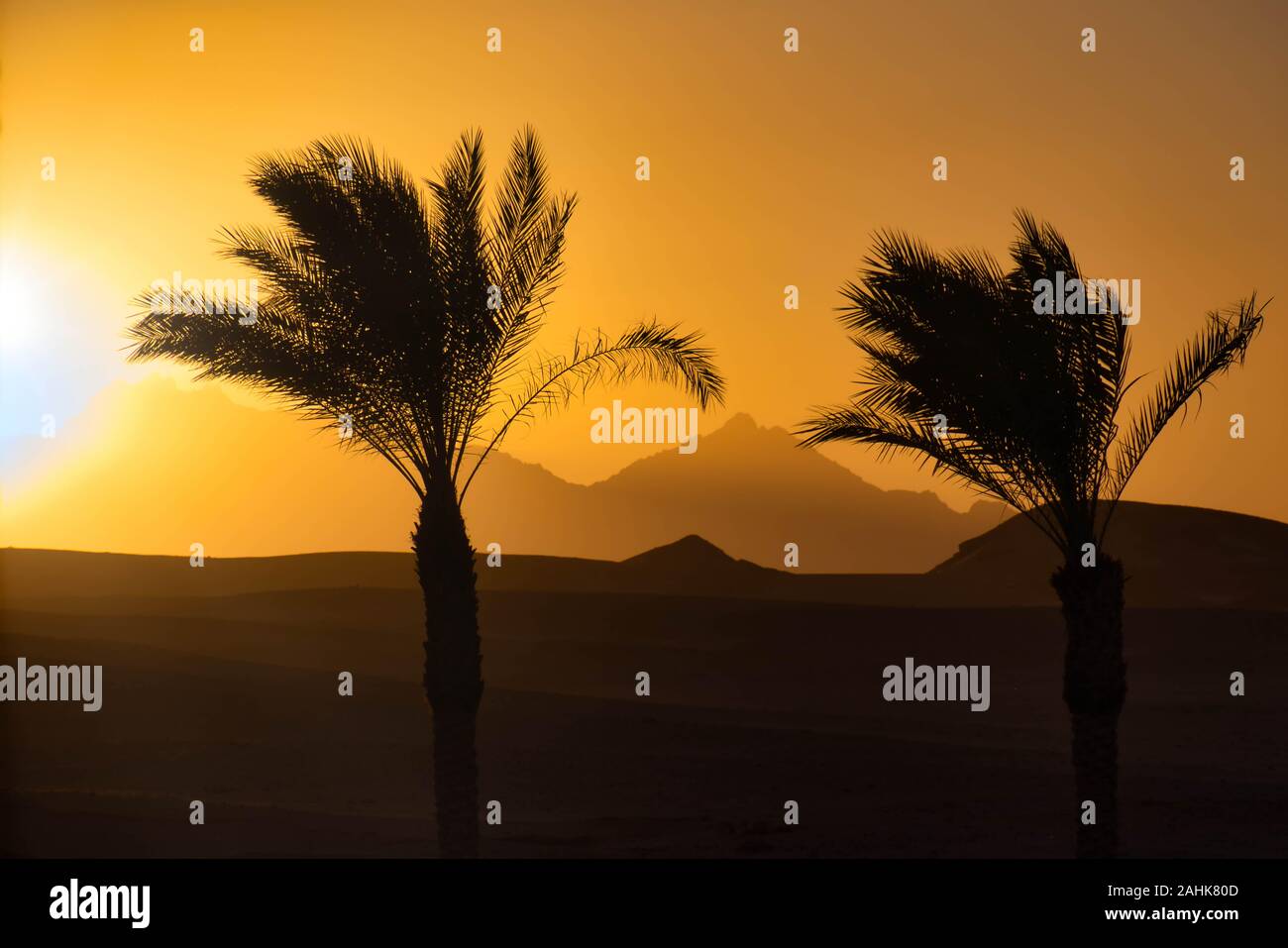 Egypt sunset Stock Photo
