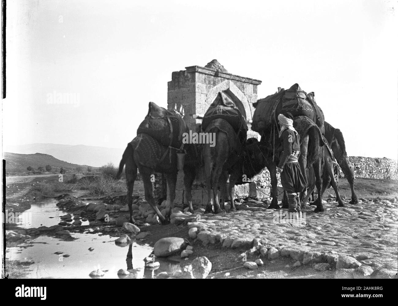 Turkey Ottoman countryman in traditional dress soaking his horses and camels at a public 'Menzil' fountain. These Menzils were located outside settlements and served caravans, travellers, farmers and their beasts. The fountains had inscriptions in verses, with the last line giving information about the construction date, either directly or in Ebced calculation. Copy from a dry glass plate, originating from the Herry W. Schaefer collection. Stock Photo