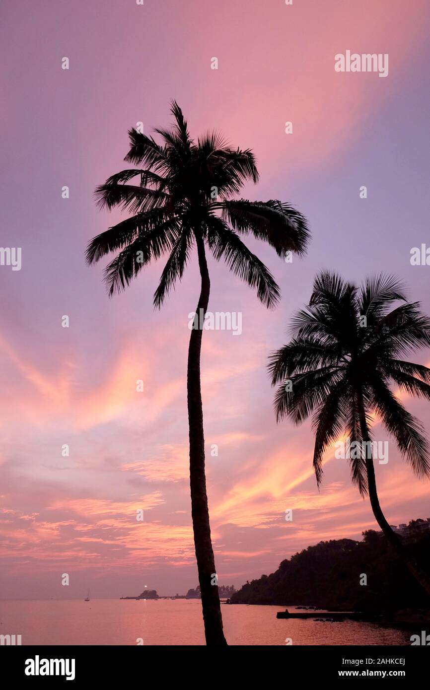 A red sky and over tropical bay with a calm sea and silhouetted palm trees, Red glow from the setting sun over Viaguinim Beach, Panaji, Goa, India, ve Stock Photo