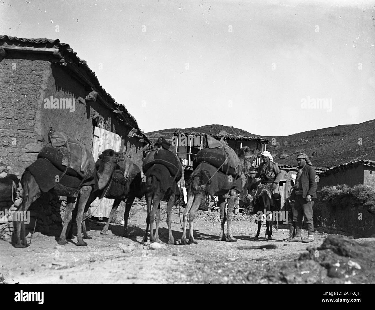 A small caravan of 4 camels packed with goods moving through a small mountain village in the western part of Ottoman Turkey. A man in traditional dress sitting on an donkey and another man standing accompanied by a boy and watching the beasts passing by. Photograph taken around 1910-1920. Copy from a dry glass plate, originating from the Herry W. Schaefer collection. Stock Photo