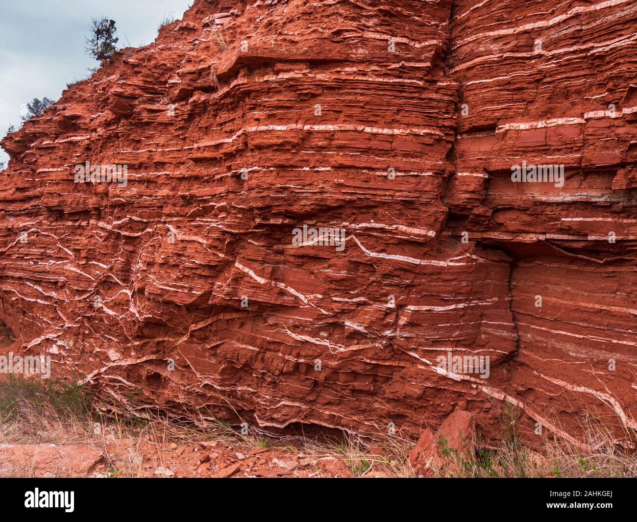 Gypsum veins in the rock, Eagle Point Trail, Caprock Canyons State Park