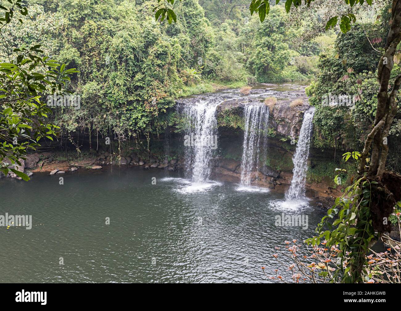 Waterfall in nature park, Tham Champy, Paksong, Laos Stock Photo