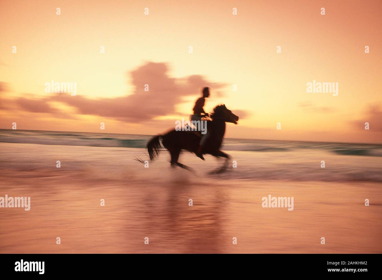 A man enjoys horse riding on a beach Stock Photo - Alamy