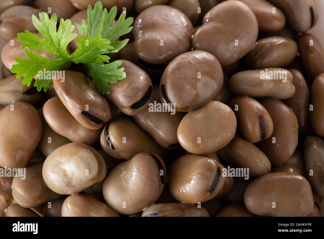 Egyptian bean hires stock photography and images Alamy