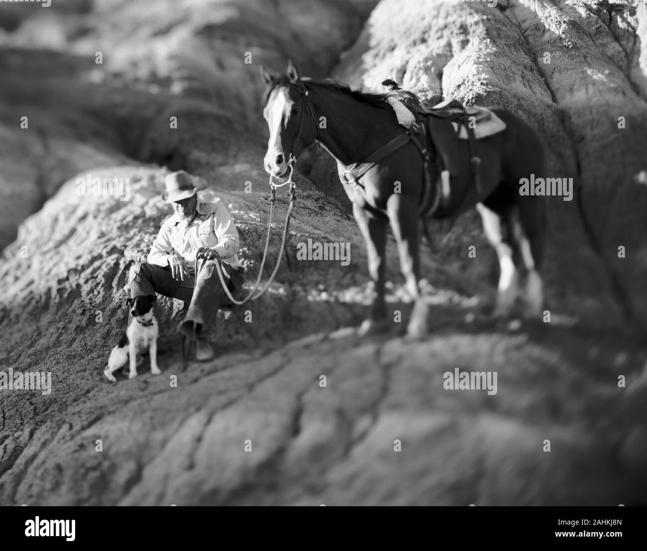 Mature cowboy sitting on a rock large rock next to his dog and horse outdoors. Stock Photo