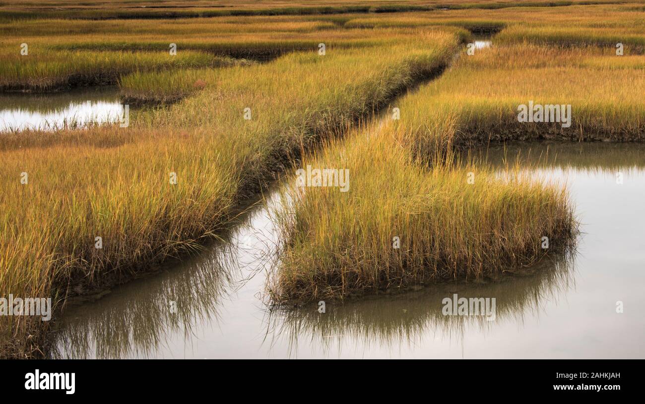 Bass Hole, Yarmouthport Stock Photo Alamy