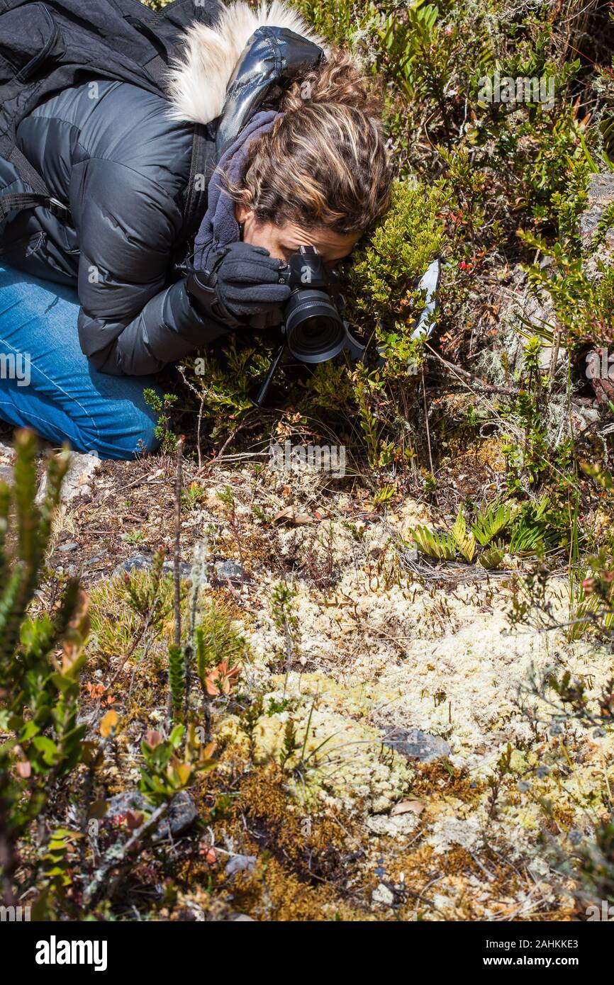 Young woman exploring the nature of a beautiful paramo at the department of Cundinamarca in Colombia Stock Photo