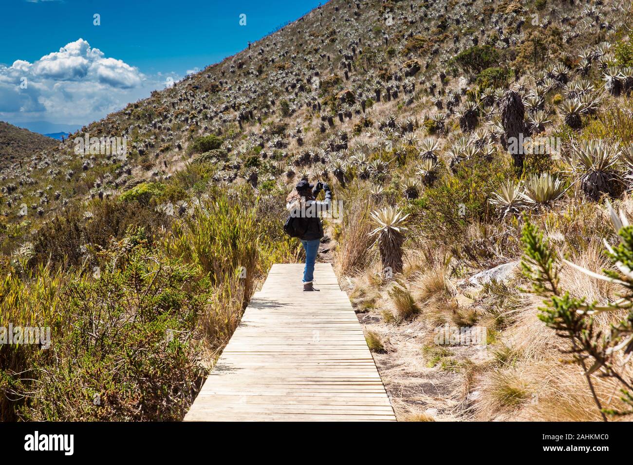 Young woman exploring the nature of a beautiful paramo at the department of Cundinamarca in Colombia Stock Photo