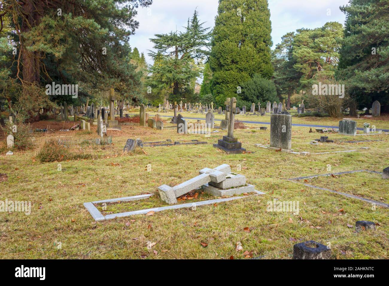 View of South Cemetery and old gravestones and memorials, Brookwood Cemetery, Cemetery Pales, Brookwood, Woking, Surrey, southeast England, UK Stock Photo