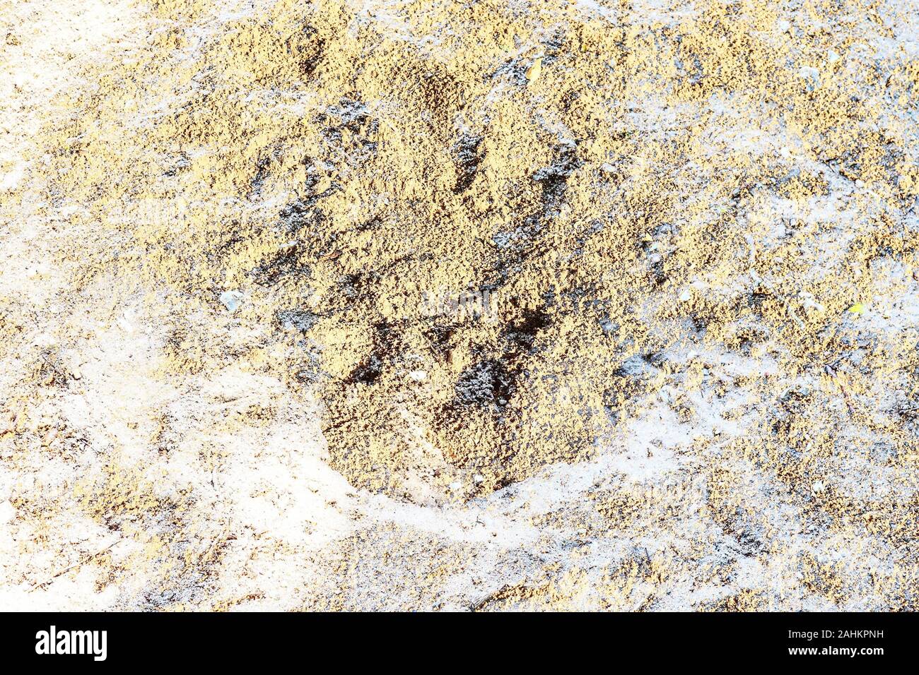 Detailed close up view on sandy ground and dirt textures in high ...