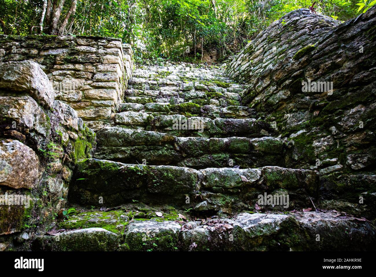 Ancient mayan pyramids Nohoch Mul in Coba Mexico Stock Photo