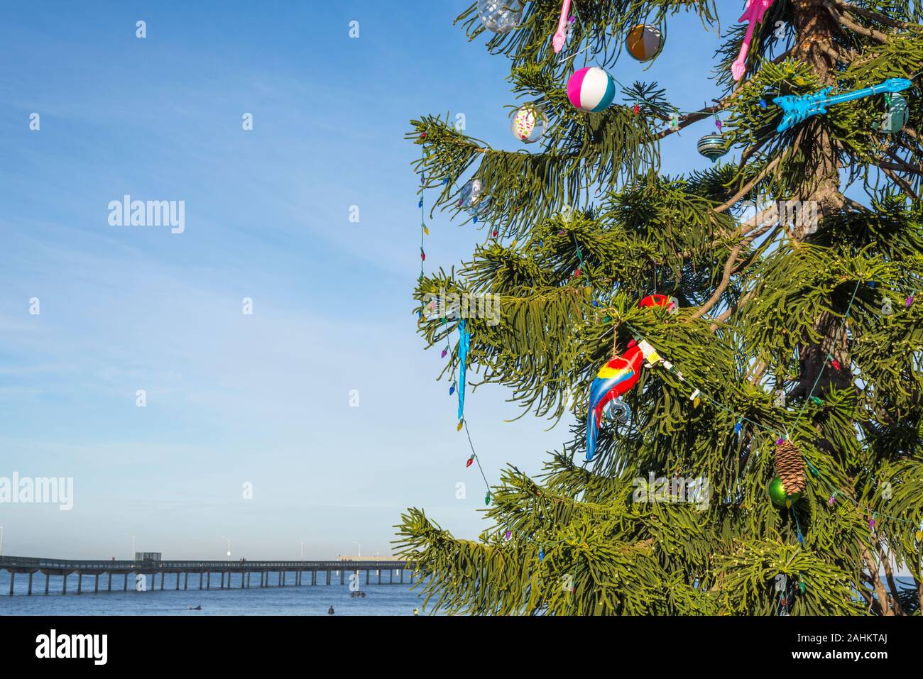 The Ocean Beach Christmas Tree. San Diego, California, USA Stock Photo