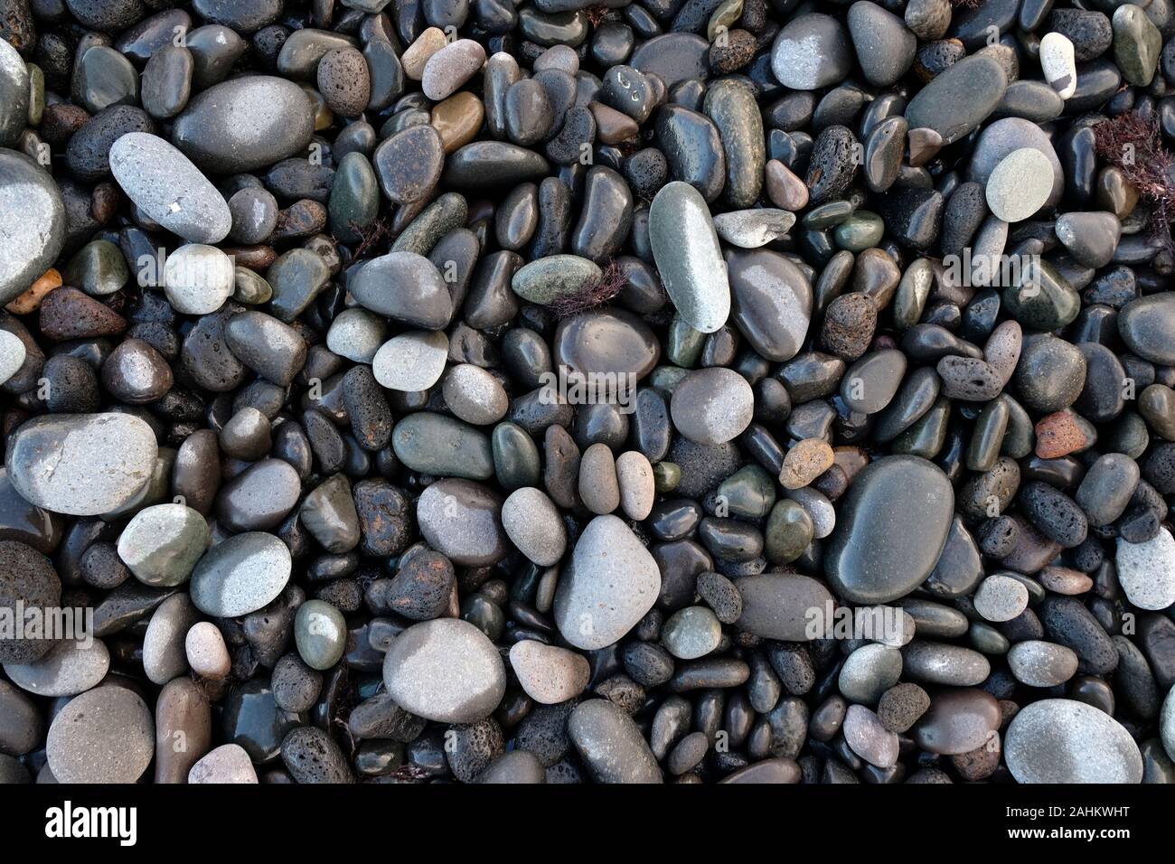 A selection of wet and dry round stones, pebbles on the beach. Stock Photo