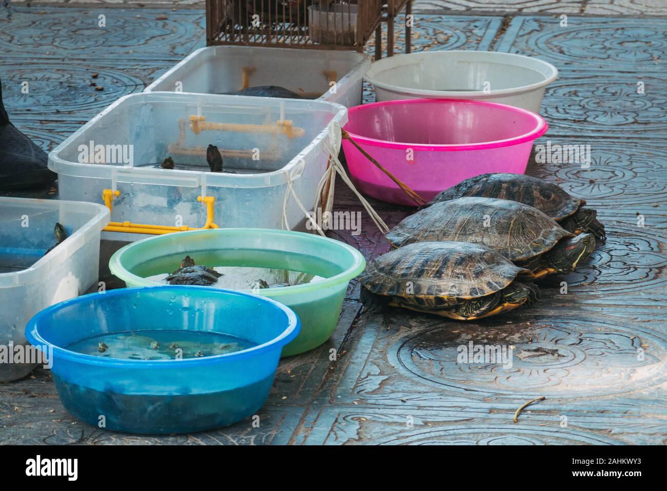 Pet containers hires stock photography and images Alamy