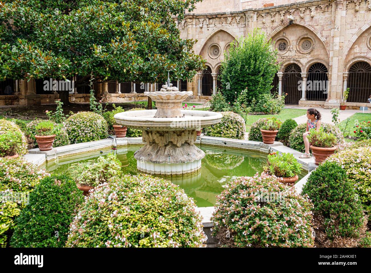 Tarragona Spain Hispanic Catalonia Metropolitan Cathedral Basilica,Catedral Basilica,Catholic church,cloister,Romanesque,courtyard,landscaping,garden, Stock Photo