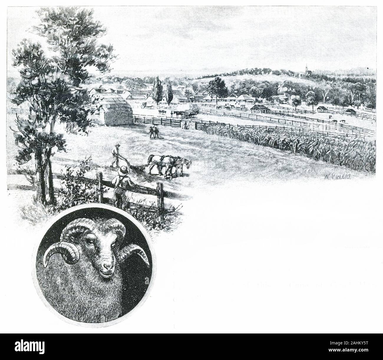 Engraving of sheep pioneer John MacArthur's homestead at Campden, New South Wales, with an inset of a merino ram. Stock Photo