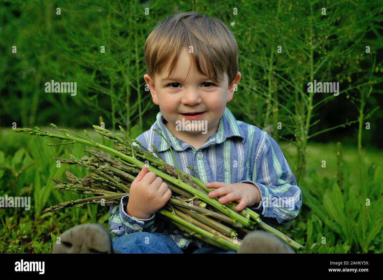 little boy holding fresh picked asparagus Stock Photo