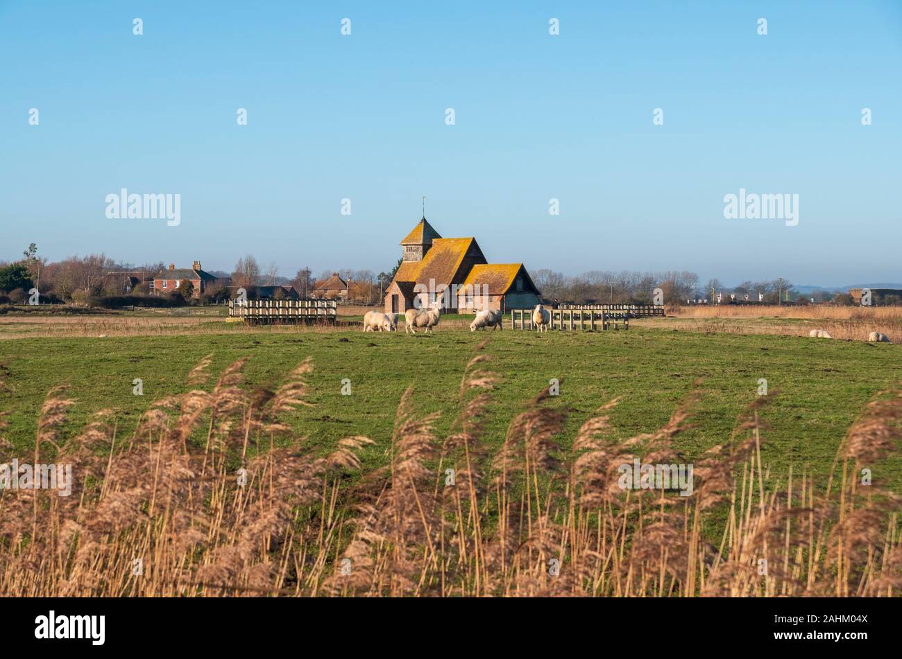 St Tomas a Becket Church, Fairfield, isolated on Romney Marsh surrounded by grazing sheep, Kent, UK Stock Photo